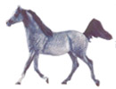 Horsefigurines - Pferdefiguren - Statuettes de Cheval - Figuras de Caballo